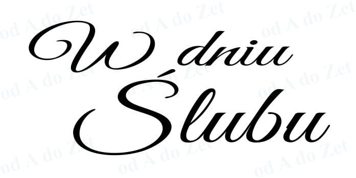 P40-W dniu ślubu-2tło.jpg