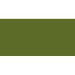Fern Green-1.jpg