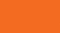 Tiger Lily-2.jpg