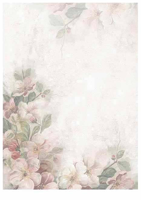 SCRAP-014-3 small_1.jpg