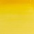 Cadmium yellow pale hue-2.jpg