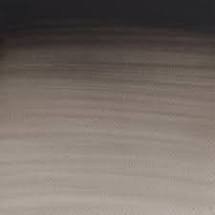 Ivory black-2.jpg