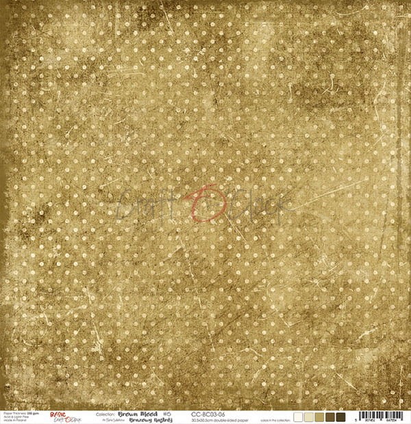 CC-BC03-06_1.jpg