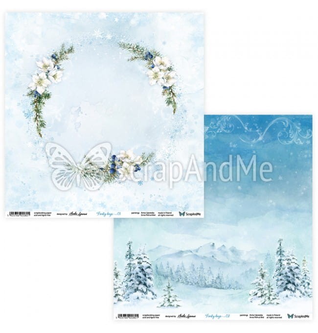 frosty-days-0102.jpg