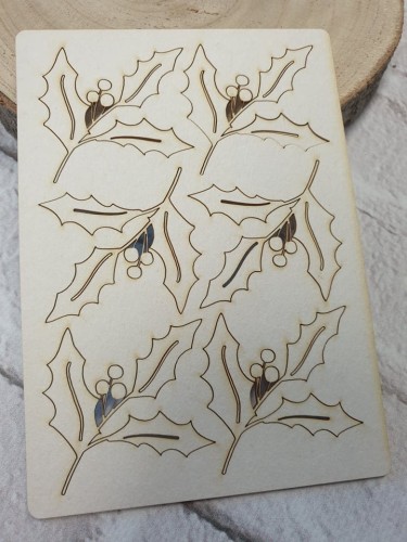 ostrokrzew a'6-1.jpg