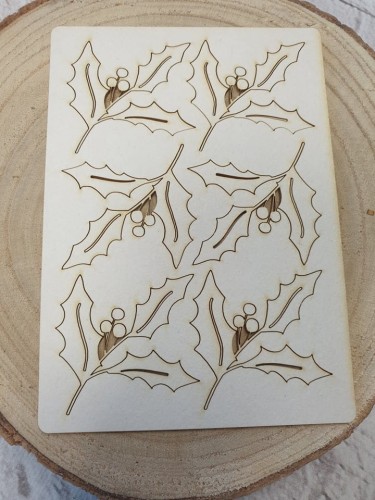 ostrokrzew a'6-2.jpg