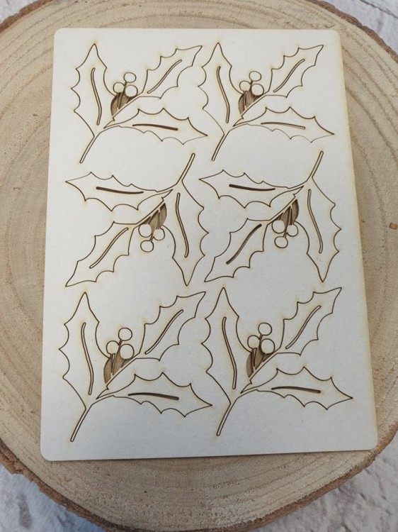 ostrokrzew a'6-2.jpg