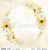 sunflowers01.jpg