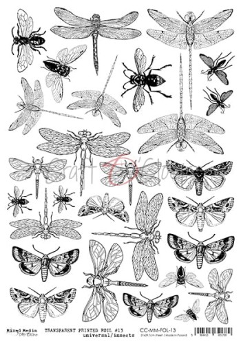 CC-MM-FOL-13.jpg