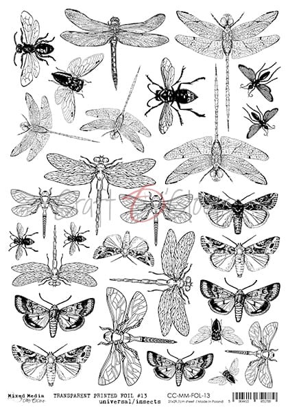 CC-MM-FOL-13.jpg