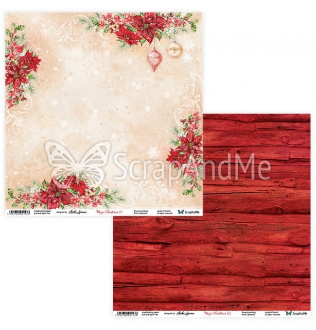 magic-christmas-0102.jpg