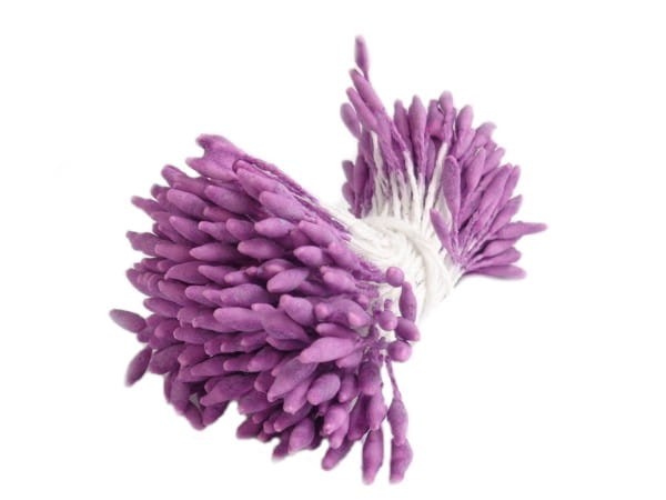 Pręciki minipałeczki fiolet.jpg