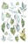 Liscie-Arkusz-nr-2.png