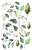 Liscie-Arkusz-nr-3.png