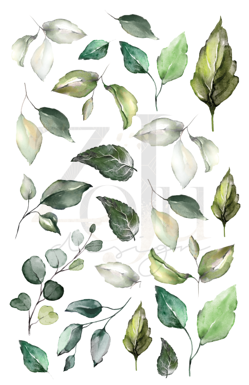 Liscie-Arkusz-nr-3.png