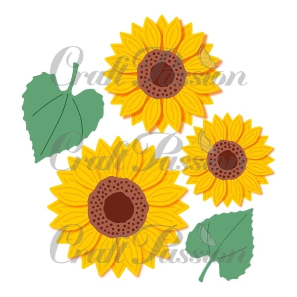 CP-115 sunflowers and leaves.jpg