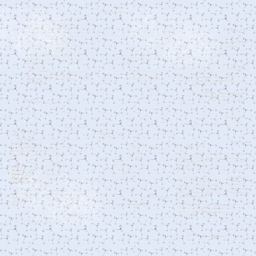FDSP-01089_8.jpg