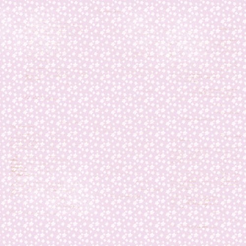 FDSP-01089_11.jpg