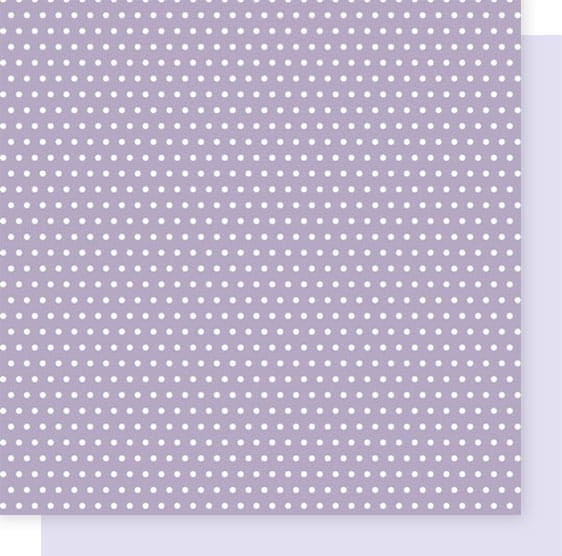 FDSP-04011_11.jpg