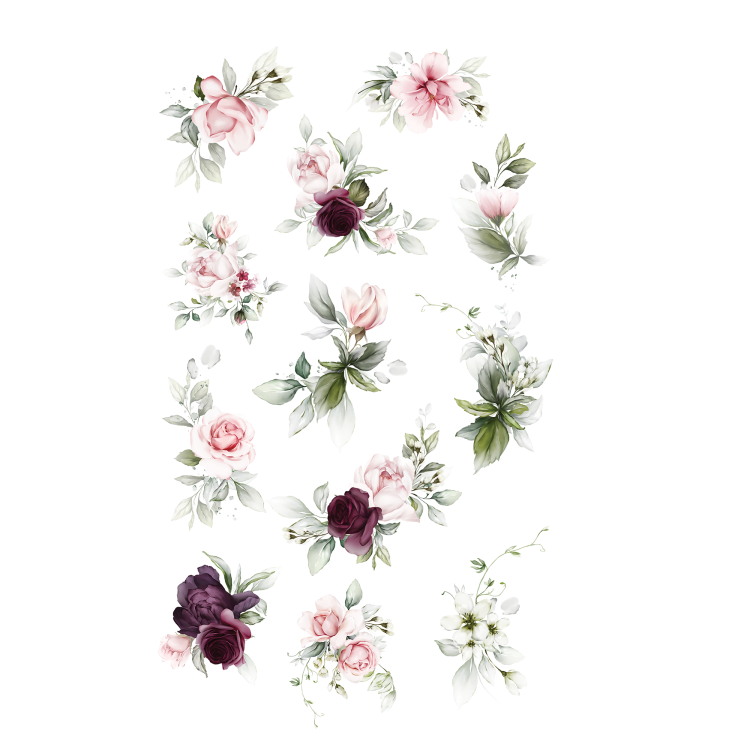 A2.png