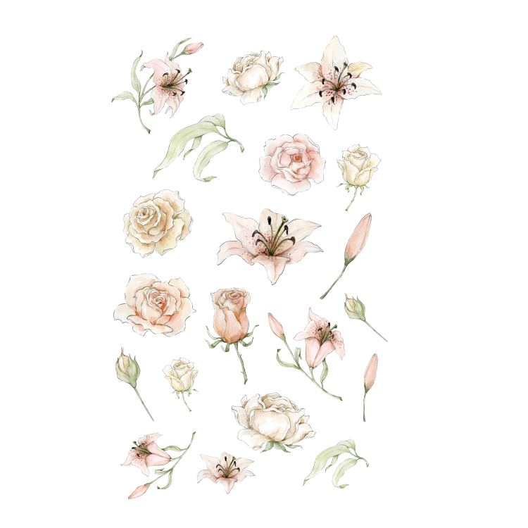 A5.png