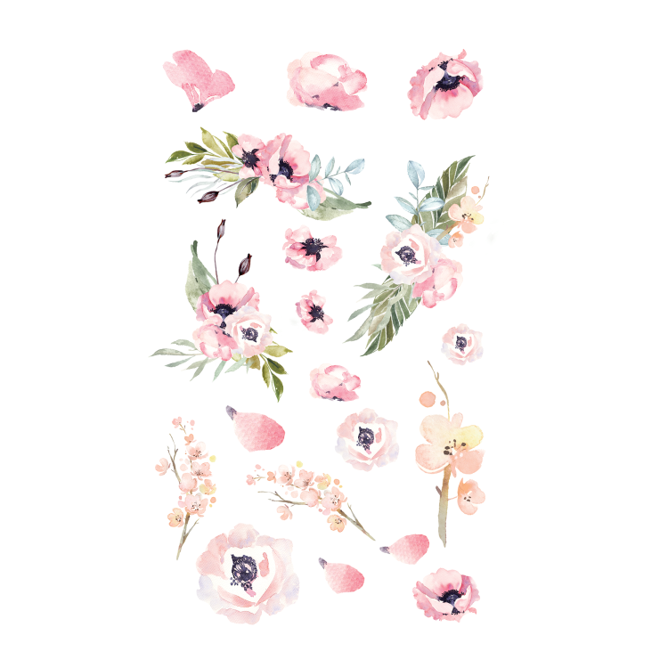 A6.png