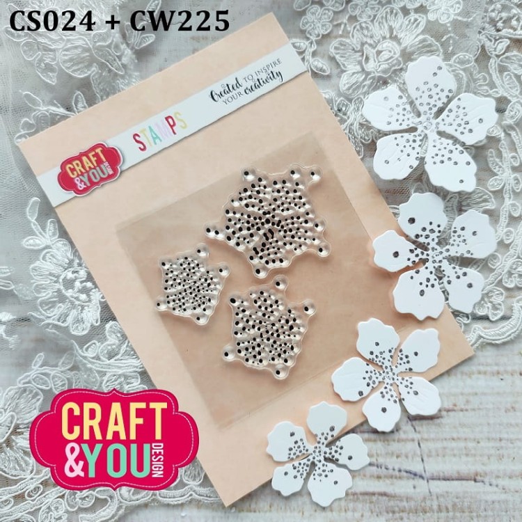 cs024-1.jpg