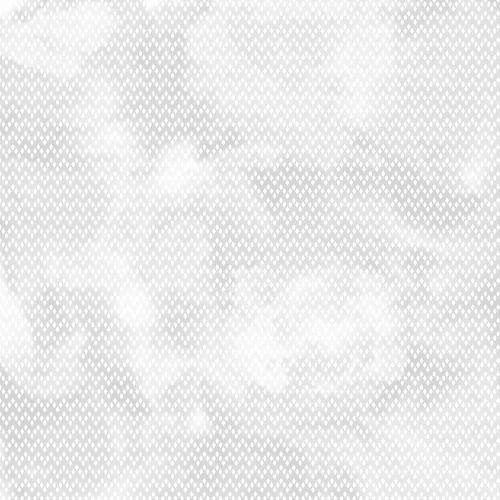 FDSP-01096_11.jpg