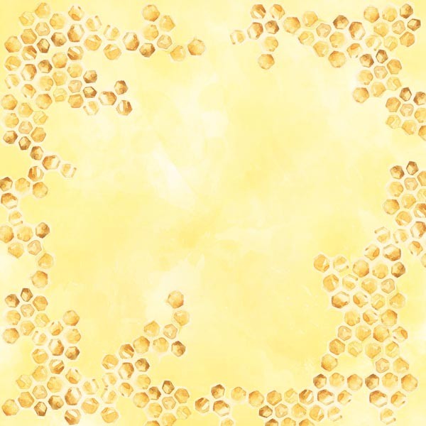 FDSP-01117_10.jpg