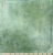 B3 GREENHOUSE mini.png