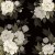 FDSP-01110_4.jpg