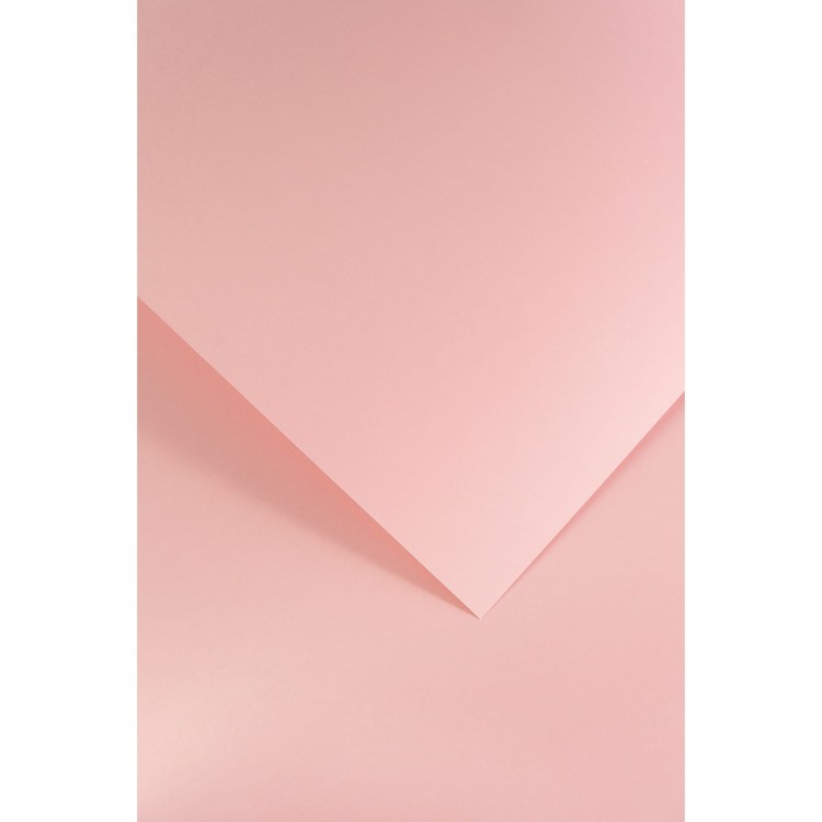 5903069009586.jpg
