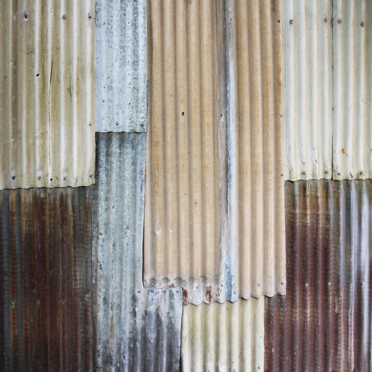 P2299_2.jpg.jpg