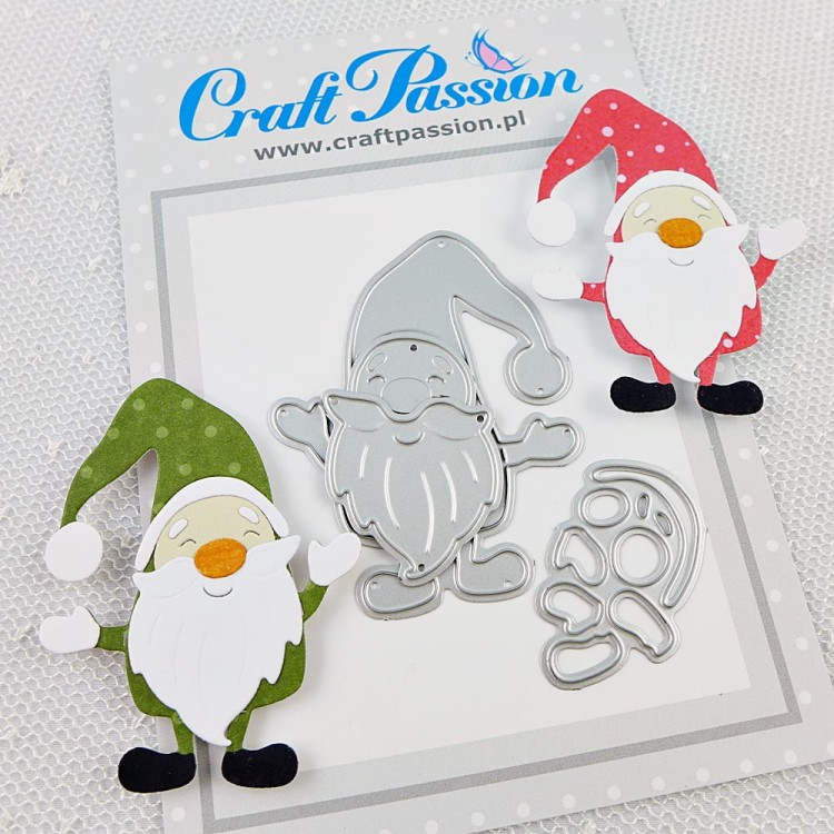 CP-135 winter gnome photo.JPG