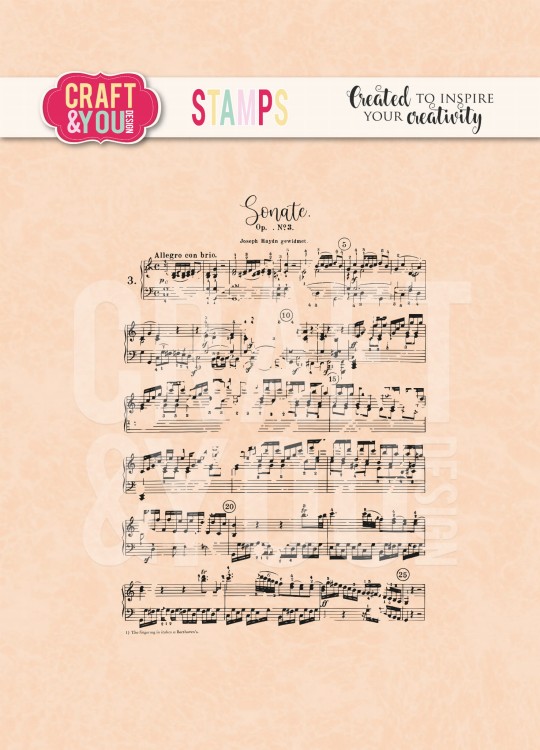 cs032-1.jpg