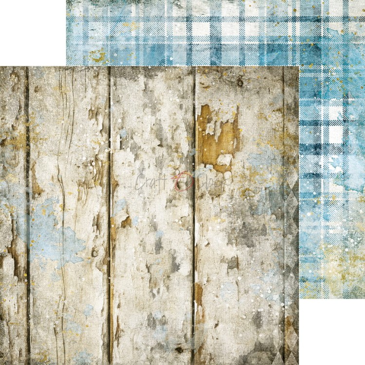 CC-F31-HD-10_05.jpg