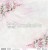 pink-roses01.jpg