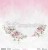 pink-roses03.jpg