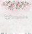 pink-roses05.jpg