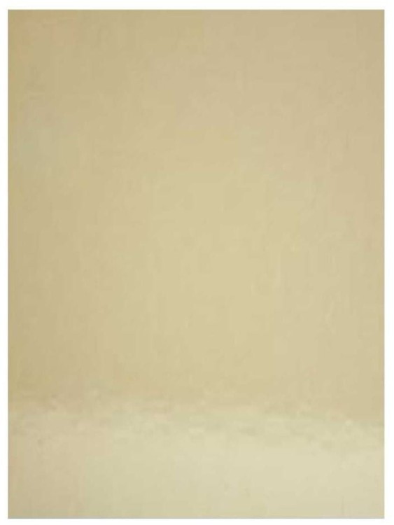 p18630-papier-ozdobny-powlekany-splendorlux-250g-avorio-ecru-pak-10a4.jpg