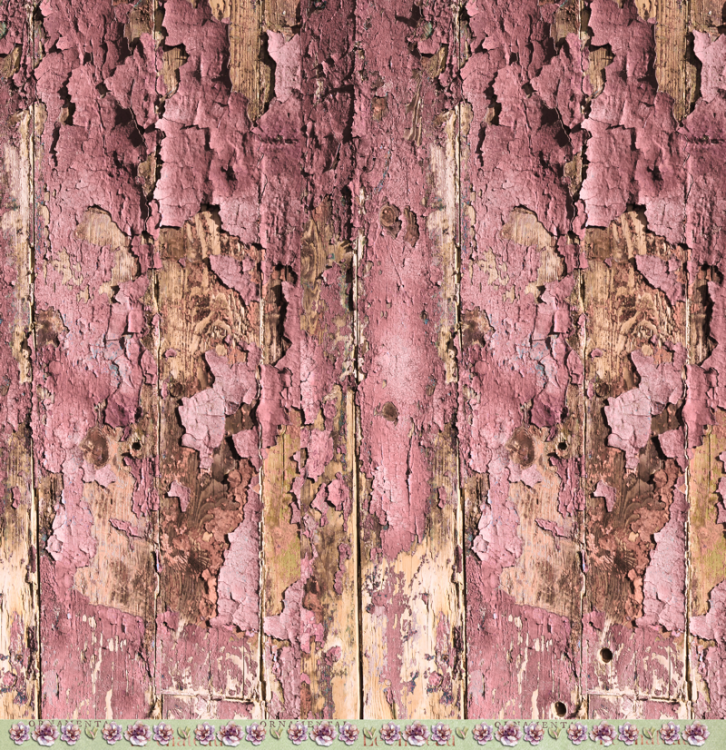 body-soul-beautiful-mind_3580.png