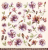 body-soul-nature_3585.png