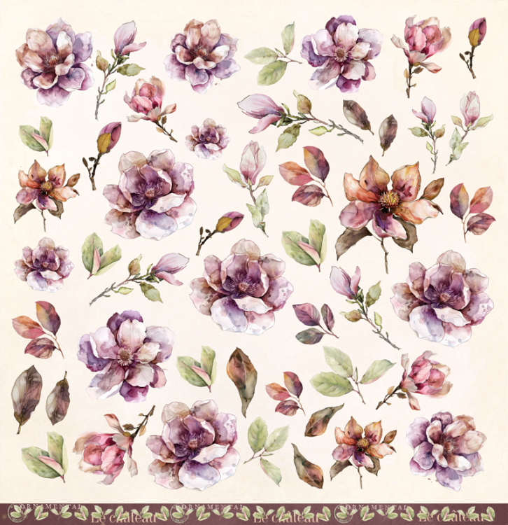 body-soul-nature_3585.png