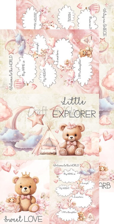 CC-C65-GC-13_08 EN.jpg