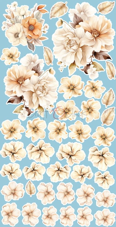 CC-C66-BT-11_11.jpg
