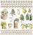 sunny-blooms-okladka-tyl.jpg