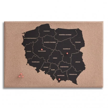 MAPS-004-1.webp