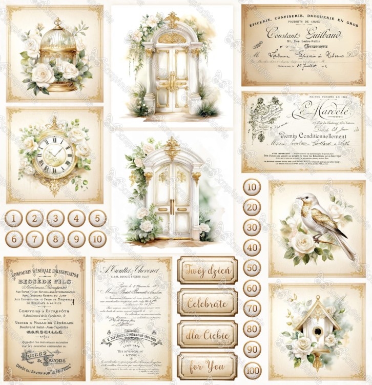 white-roses-okladka-tyl.jpg