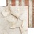 CC-C81-TG-08_01.jpg