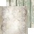 CC-C82-LLY-09_10.jpg